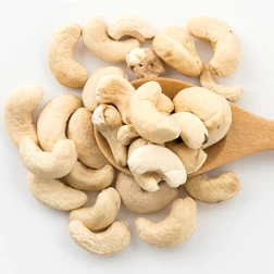 Cashew