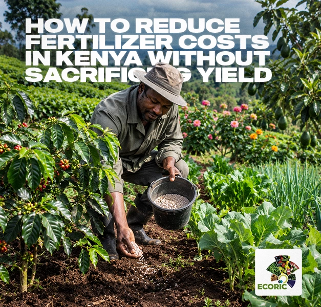 How to Reduce Fertilizer Costs in Kenya Without Sacrificing Yield | EcoRic