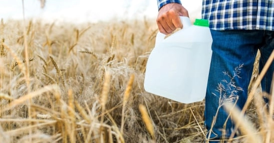 A dynamically growing company specializing in the delivery of bio-organic fertilizers and plant protection products to agricultural farmers in African countries