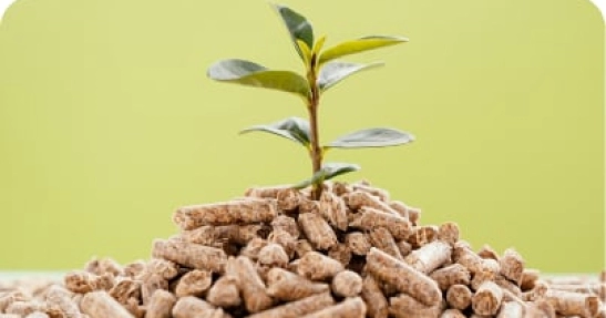 Bio-organic fertilizers and plant protection products that comply with the latest environmental standards and meet the needs of both large agricultural companies and local farms