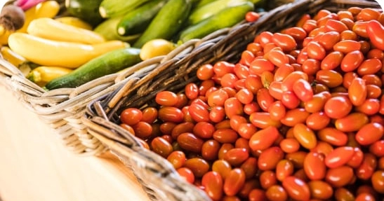 Reliable partner in the distribution of bio-organic fertilizers and export of organic agricultural products