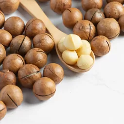 Macadamia