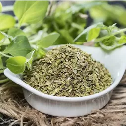 Marjoram