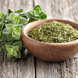 Oregano