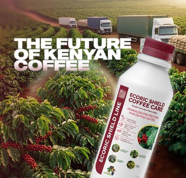 The Future of Kenyan Coffee