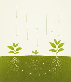 fix nitrogen