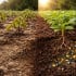 Microbiome balance & regenerate