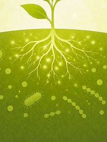 EcoRic Bio Series