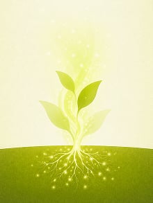 EcoRic Grow Series