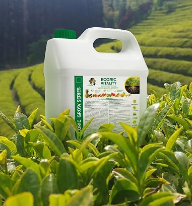 EcoRic Grow Series liquid fertilizer for healthy plant growth