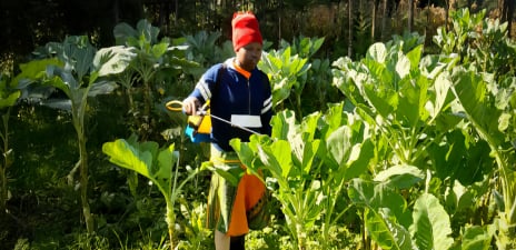 Benefits of EcoRic Grow Series foliar fertilizers for agriculture